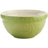 Mason Cash In The Forest Green - Mixing Bowl 1 Mason Cash In The Forest Green - Mixing Bowl -Matchbox store 28450 1024x1024