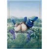 Maxwell And Williams Birds Of Australia Anniversary Tea Towel - Splendid Fairy Wren -Matchbox store GX0085 1024x1024