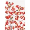 Maxwell And Williams Royal Botanic Gardens - Garden Friends Tea Towel 50X70Cm Spinebill 2 Maxwell And Williams Royal Botanic Gardens - Garden Friends Tea Towel 50X70Cm Spinebill -Matchbox store GX0264 1024x1024