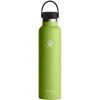 Hydro Flask 24oz Standard Mouth Flex Cap - Seagrass 2 Hydro Flask 24oz Standard Mouth Flex Cap - Seagrass -Matchbox store Hydro Flask Bottles 24oz Standard Matchbox HydroFlask24ozStandardMouthSeagrass 1024x1024