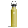 Hydro Flask 21oz Standard Mouth Straw Lid - Cactus 2 Hydro Flask 21oz Standard Mouth Straw Lid - Cactus -Matchbox store Hydro Flask Bottles Matchbox S21FS417 Cactus StraightOn 1024x1024