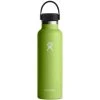 Hydro Flask 21oz Standard Mouth Flex Cap - Seagrass 1 Hydro Flask 21oz Standard Mouth Flex Cap - Seagrass -Matchbox store Hydro Flask Drink Bottles Matchbox HydroFlask21ozStandardMouthSeagrass 1024x1024