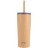 Oasis Super Sipper Insulated Tumbler With Silicone Straw 600ml Rockmelon -Matchbox store OasisSuperSipperRockmelon8921RM 1024x1024